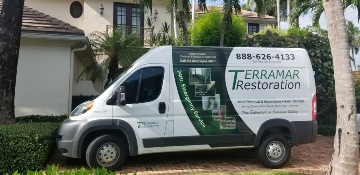 Mold Removal experts